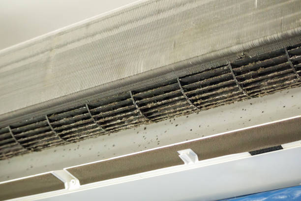 Best Air Duct Cleaning Near Me  in Heartland, TX